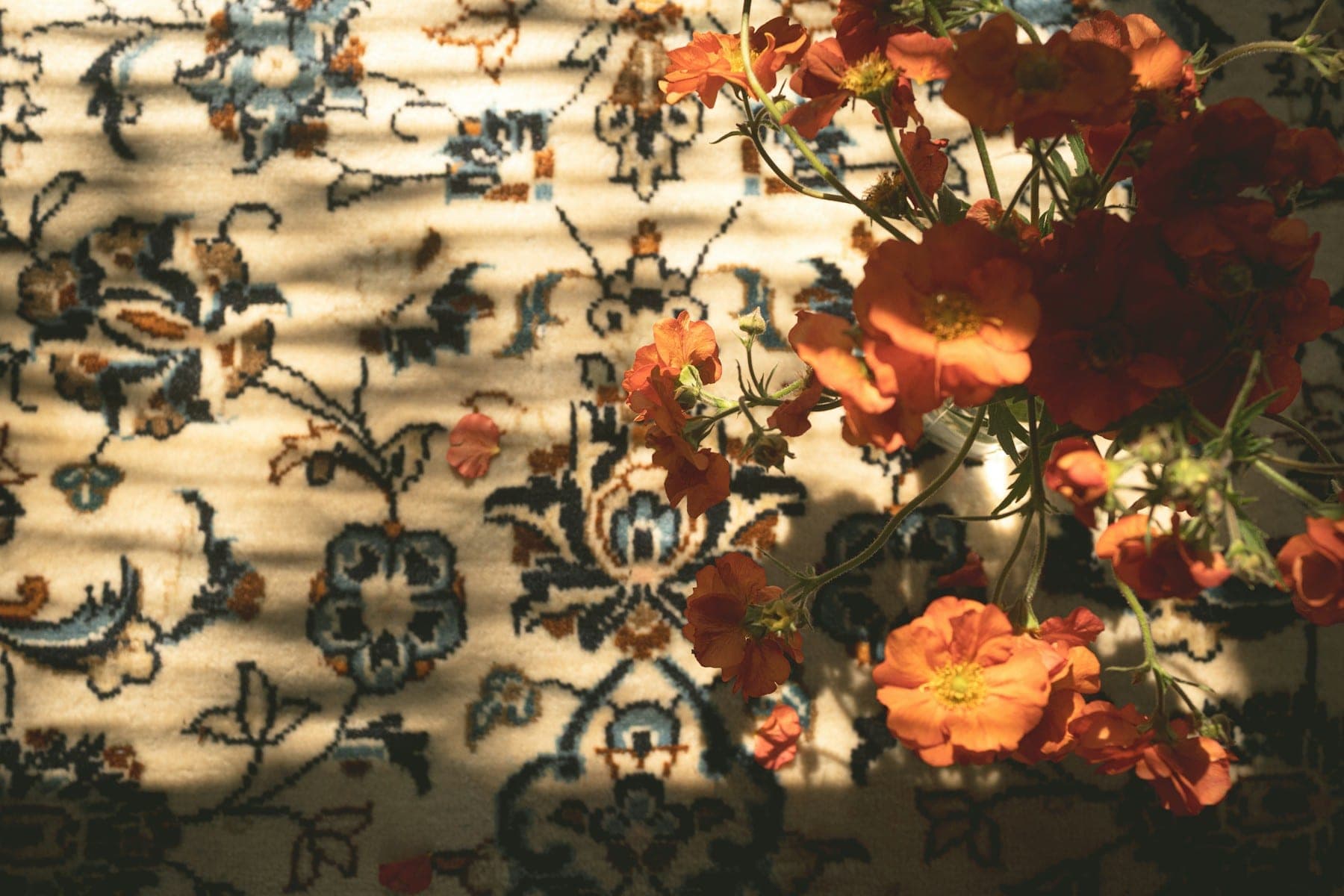 Orange cosmos flowers casting shadows on an ivory floral rug