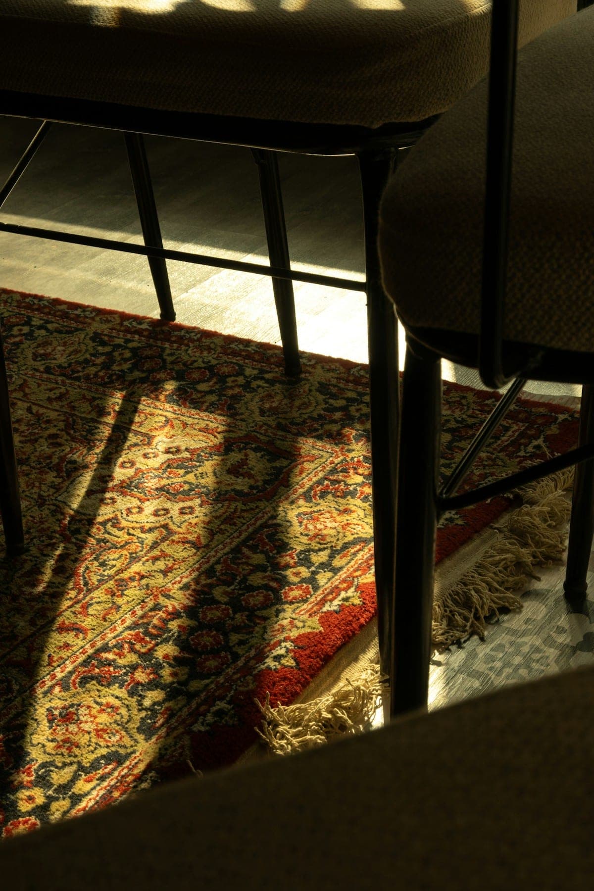 Late sun slanting across a gold and crimson rug beneath dark dining chairs